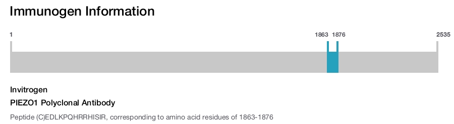 PIEZO1 Polyclonal Antibody