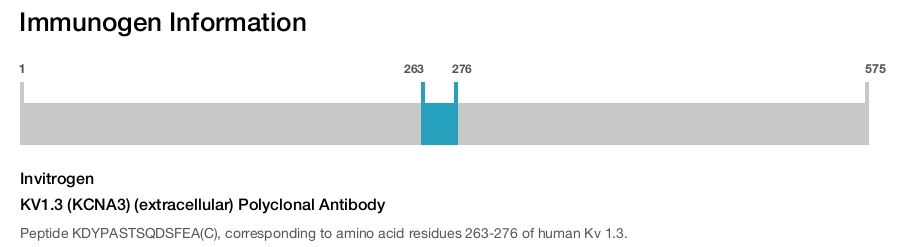 KV1.3 (KCNA3) (extracellular) Polyclonal Antibody