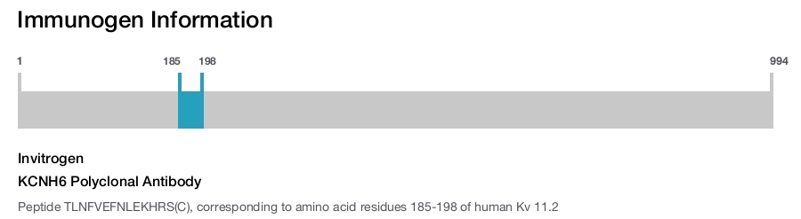 KCNH6 Polyclonal Antibody