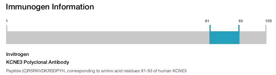 KCNE3 Polyclonal Antibody