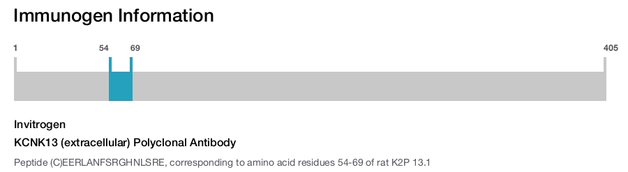 KCNK13 (extracellular) Polyclonal Antibody
