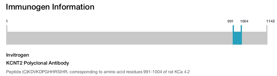 KCNT2 Polyclonal Antibody