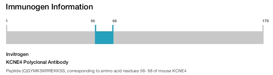 KCNE4 Polyclonal Antibody