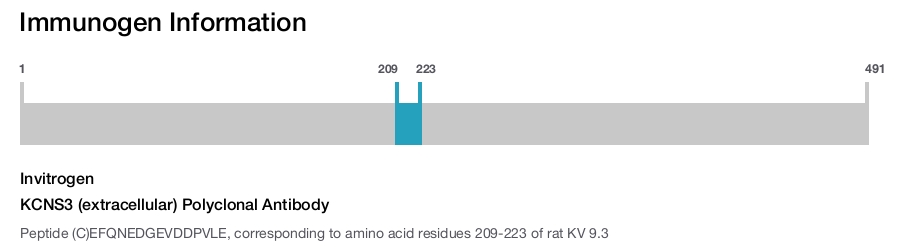 KCNS3 (extracellular) Polyclonal Antibody