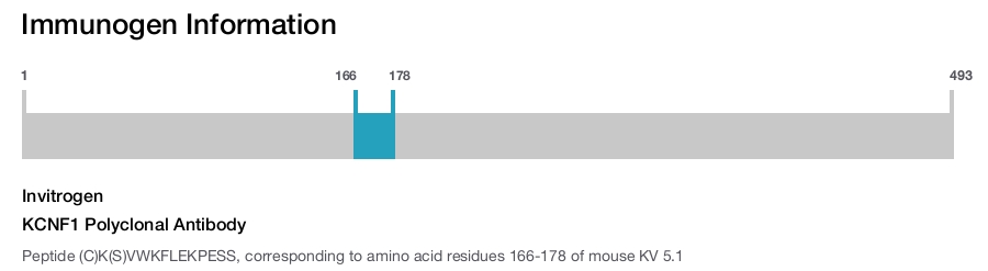 KCNF1 Polyclonal Antibody