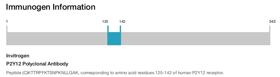 P2Y12 Polyclonal Antibody