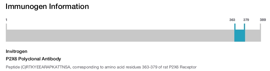 P2X6 Polyclonal Antibody