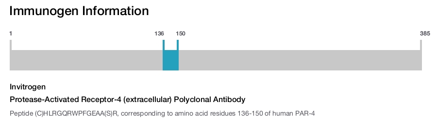 Protease-Activated Receptor-4 (extracellular) Polyclonal Antibody