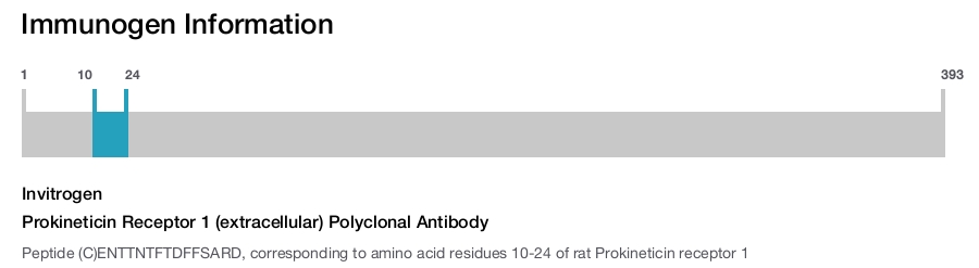 Prokineticin Receptor 1 (extracellular) Polyclonal Antibody