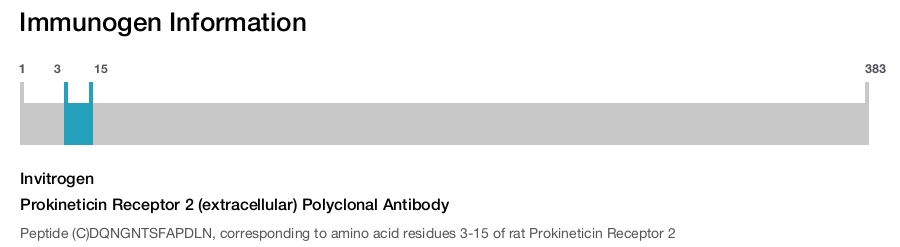 Prokineticin Receptor 2 (extracellular) Polyclonal Antibody