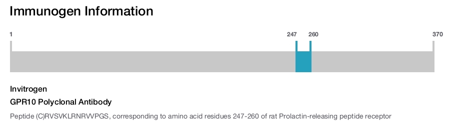 GPR10 Polyclonal Antibody