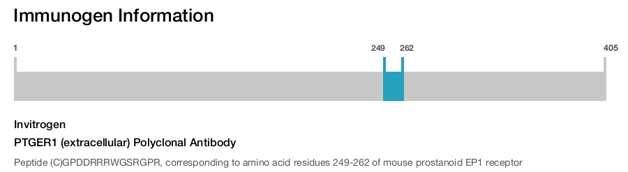 PTGER1 (extracellular) Polyclonal Antibody