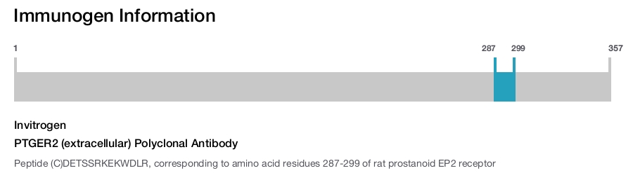 PTGER2 (extracellular) Polyclonal Antibody