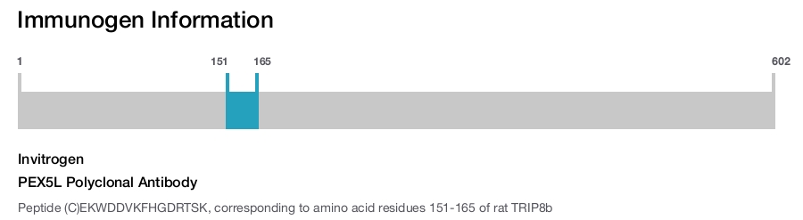 PEX5L Polyclonal Antibody