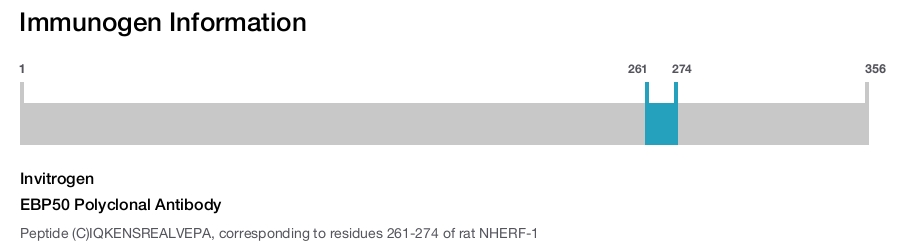 EBP50 Polyclonal Antibody