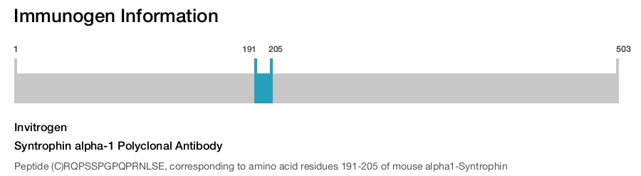 Syntrophin alpha-1 Polyclonal Antibody