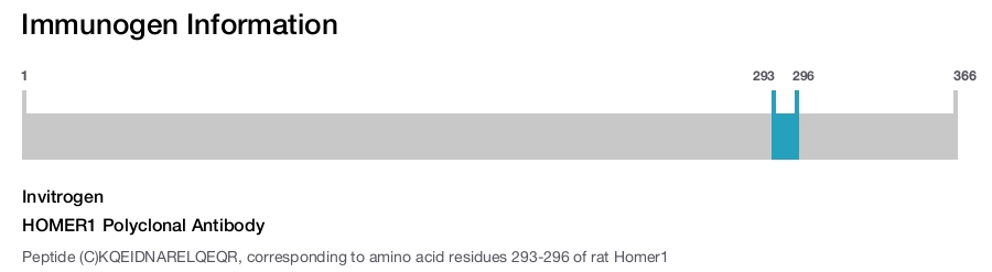HOMER1 Polyclonal Antibody