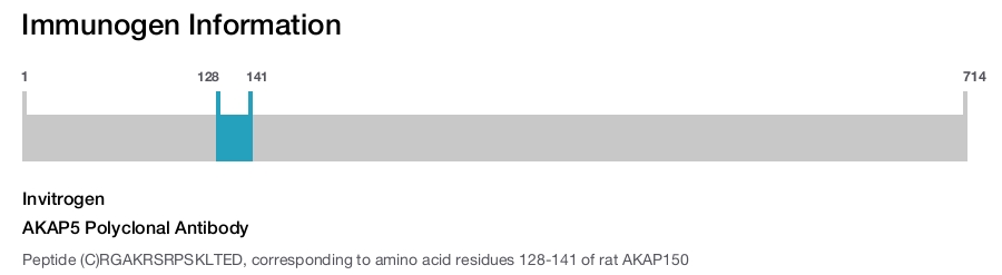 AKAP5 Polyclonal Antibody