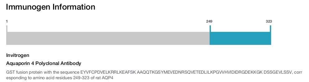 Aquaporin 4 Polyclonal Antibody