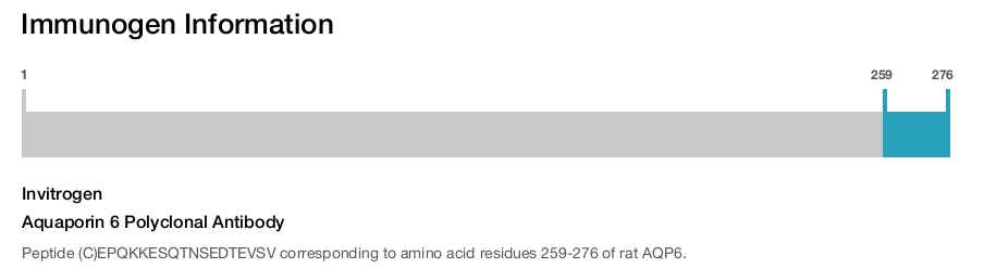 Aquaporin 6 Polyclonal Antibody