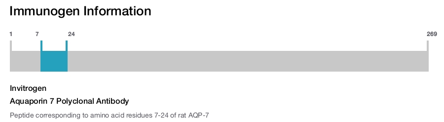 Aquaporin 7 Polyclonal Antibody