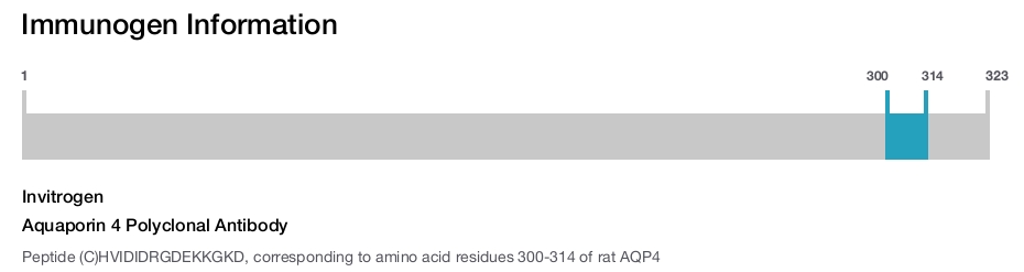 Aquaporin 4 Polyclonal Antibody