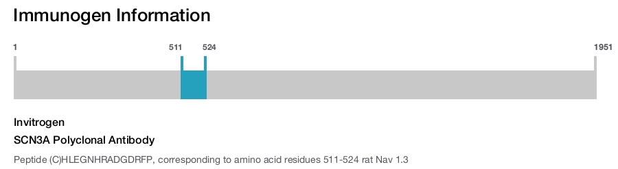 SCN3A Polyclonal Antibody
