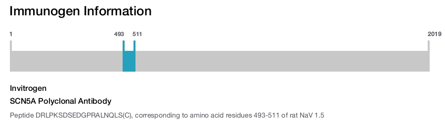 SCN5A Polyclonal Antibody