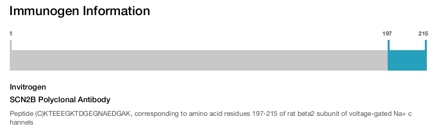 SCN2B Polyclonal Antibody