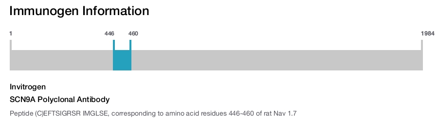 SCN9A Polyclonal Antibody