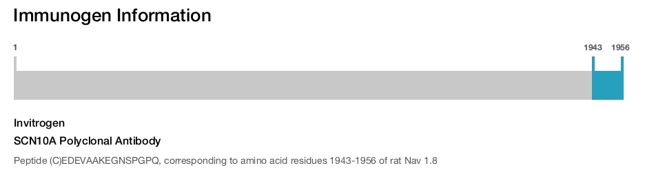 SCN10A Polyclonal Antibody