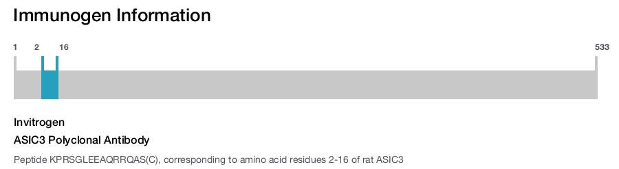 ASIC3 Polyclonal Antibody