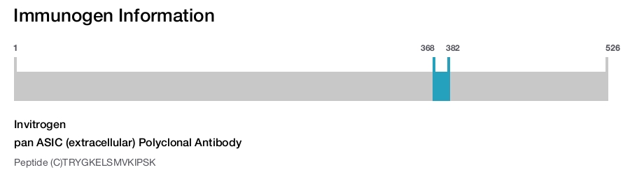 pan ASIC (extracellular) Polyclonal Antibody