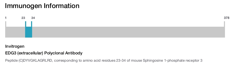EDG3 (extracellular) Polyclonal Antibody