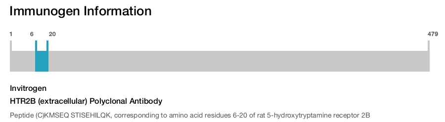 HTR2B (extracellular) Polyclonal Antibody