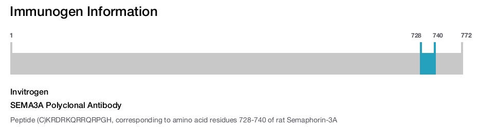 SEMA3A Polyclonal Antibody
