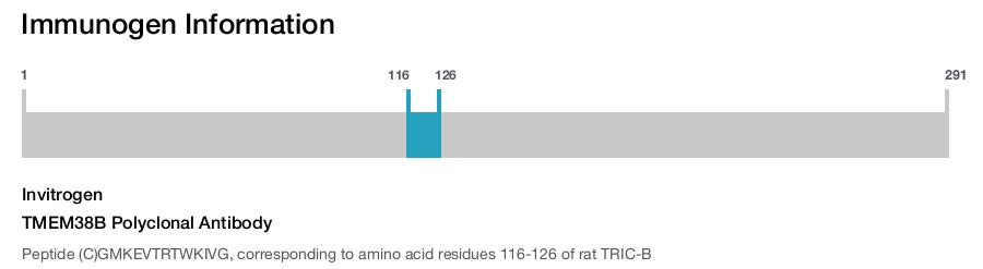 TMEM38B Polyclonal Antibody