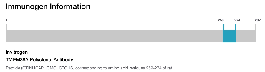 TMEM38A Polyclonal Antibody