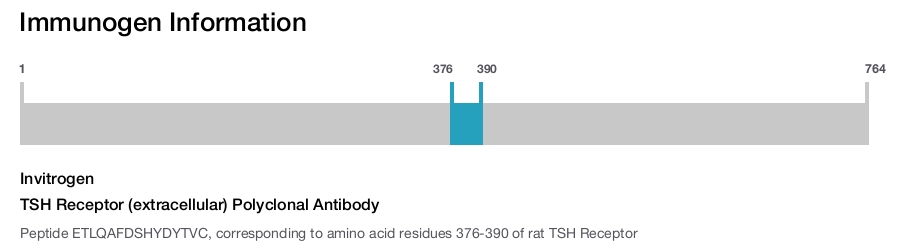 TSH Receptor (extracellular) Polyclonal Antibody