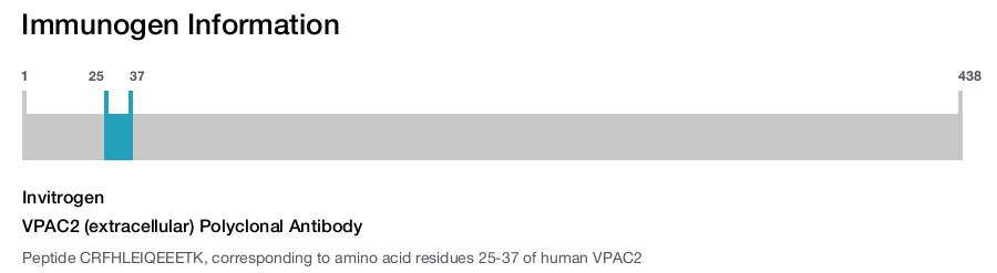 VPAC2 (extracellular) Polyclonal Antibody