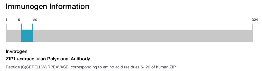 ZIP1 (extracellular) Polyclonal Antibody