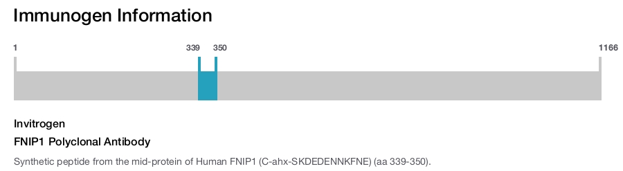 FNIP1 Polyclonal Antibody