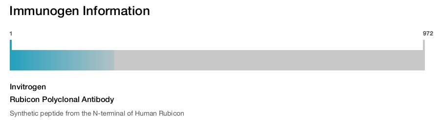 Rubicon Polyclonal Antibody
