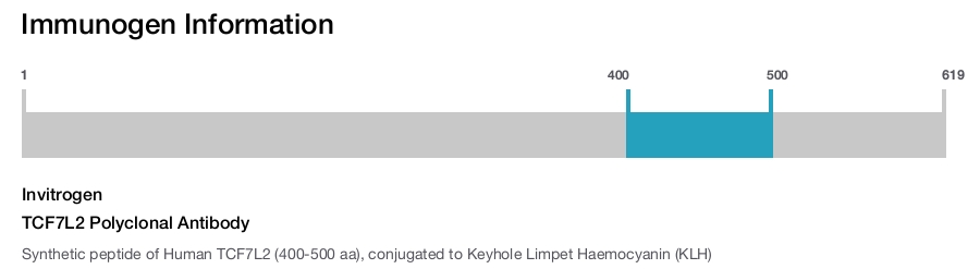 TCF7L2 Polyclonal Antibody