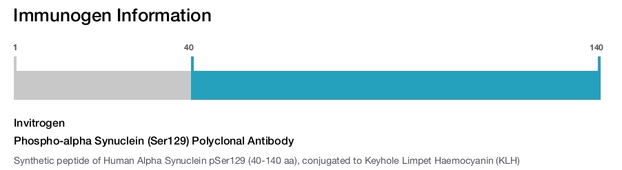 Phospho-alpha Synuclein (Ser129) Polyclonal Antibody