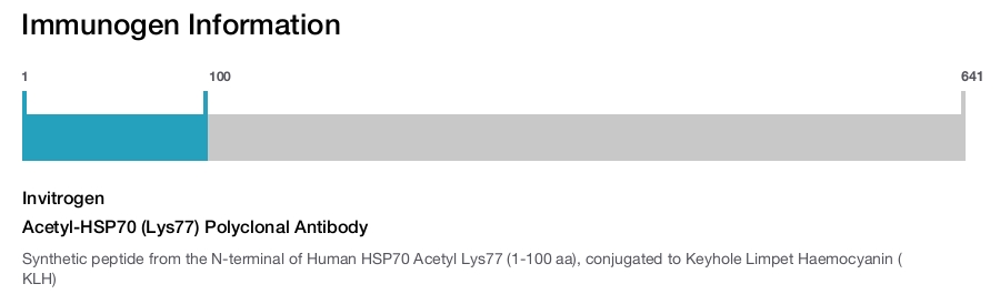 Acetyl-HSP70 (Lys77) Polyclonal Antibody