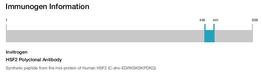 HSF2 Polyclonal Antibody