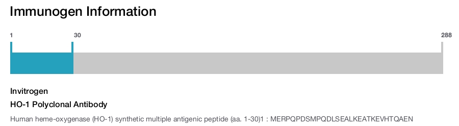 HO-1 Polyclonal Antibody