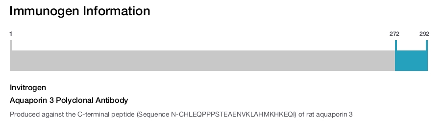 Aquaporin 3 Polyclonal Antibody