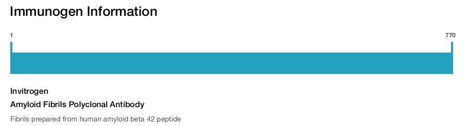 Amyloid Fibrils Polyclonal Antibody
